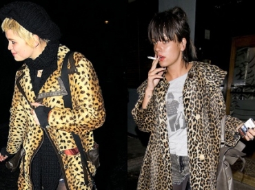 Le léopard - Hiver 2009