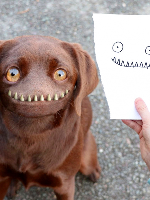 Quand les dessins d'enfants prennent vie !