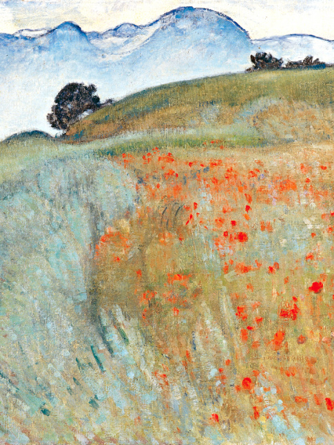 Ne pouvant s'panouir que dans son milieu naturel, le coquelicot nous interroge sur notre capacit  vivre hors sol...