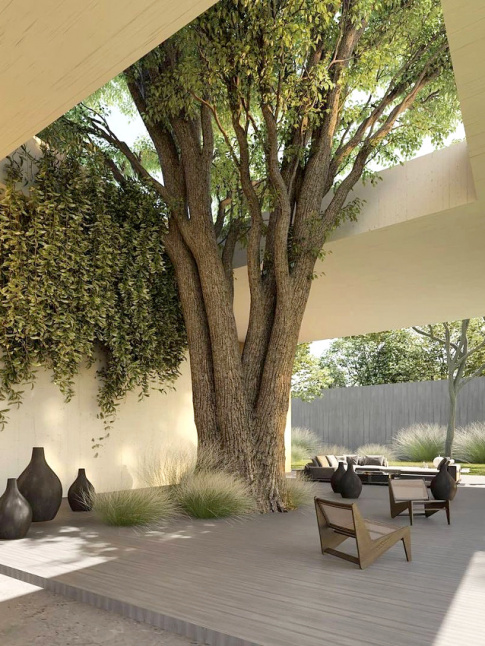 Arbre immense + terrasse + toit ouvert = le bon mix