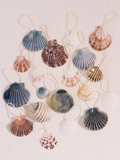 Les coquillages, des dcorations de Nol sous-estimes !