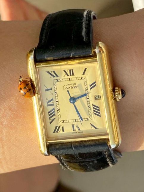 Montre vintage iconique + coccinelle = le bon mix