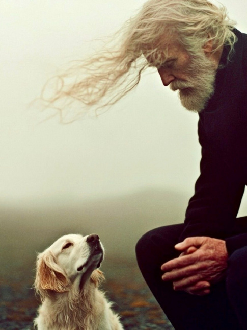 Une certaine ide de la complicit...