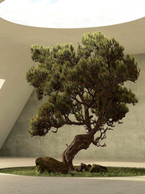 Chercher la lumire...