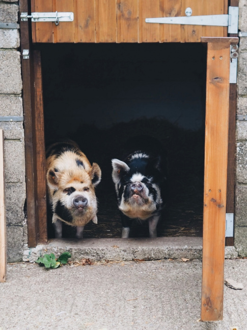 Ne pas tre du matin... tout un art !