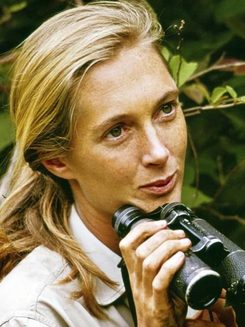 La beaut  l'tat pur #277