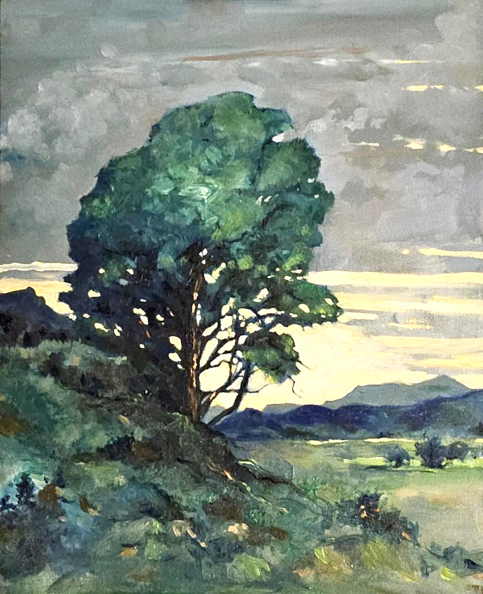 Arbre immense + ciel tourmenté = le bon mix
